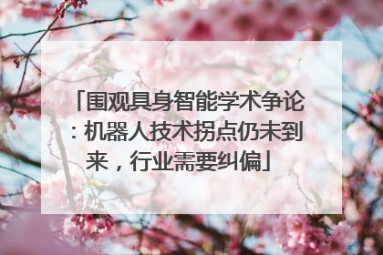 围观具身智能学术争论：机器人技术拐点仍未到来，行业需要纠偏