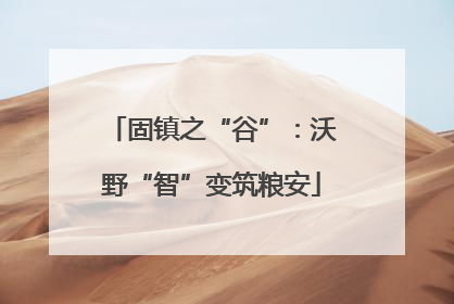 固镇之“谷”：沃野“智”变筑粮安