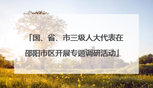 国、省、市三级人大代表在邵阳市区开展专题调研活动