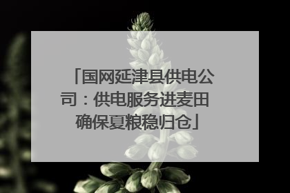 国网延津县供电公司：供电服务进麦田 确保夏粮稳归仓