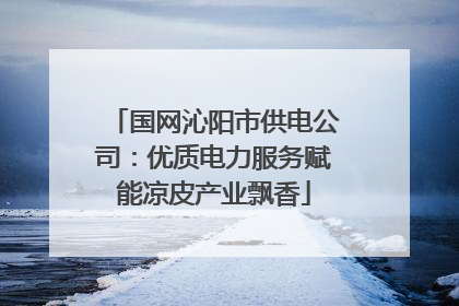 国网沁阳市供电公司：优质电力服务赋能凉皮产业飘香