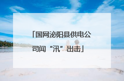国网泌阳县供电公司闻“汛”出击