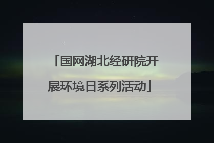 国网湖北经研院开展环境日系列活动