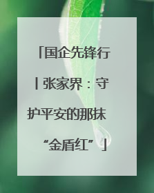 国企先锋行丨张家界：守护平安的那抹“金盾红”