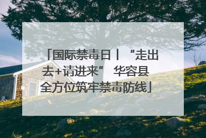 国际禁毒日丨“走出去+请进来” 华容县全方位筑牢禁毒防线