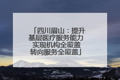 四川眉山：提升基层医疗服务能力 实现机构全覆盖转向服务全覆盖