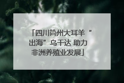 四川简州大耳羊“出海”乌干达 助力非洲养殖业发展