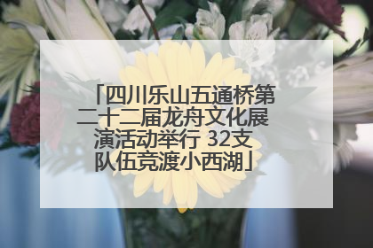 四川乐山五通桥第二十二届龙舟文化展演活动举行 32支队伍竞渡小西湖