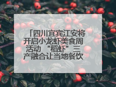 四川宜宾江安将开启小龙虾美食周活动 “稻虾”三产融合让当地餐饮商户充满期待