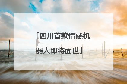 四川首款情感机器人即将面世