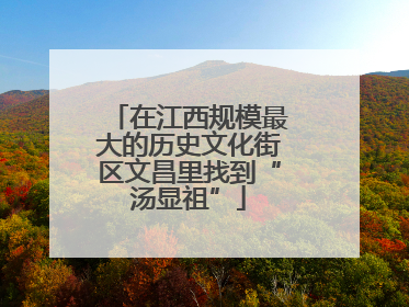 在江西规模最大的历史文化街区文昌里找到“汤显祖”