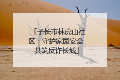 子长市林虎山社区：守护家园安全 共筑反诈长城