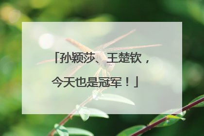 孙颖莎、王楚钦，今天也是冠军！