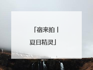 宿来拍丨夏日精灵