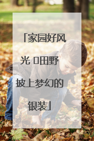 家园好风光 ⎮田野披上梦幻的银装