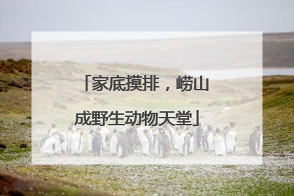 家底摸排，崂山成野生动物天堂