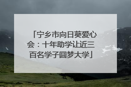 宁乡市向日葵爱心会：十年助学让近三百名学子圆梦大学