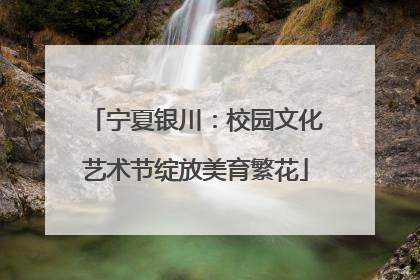 宁夏银川：校园文化艺术节绽放美育繁花