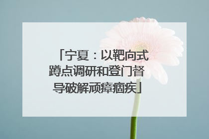 宁夏：以靶向式蹲点调研和登门督导破解顽瘴痼疾