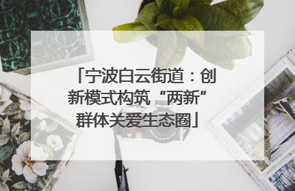 宁波白云街道：创新模式构筑“两新”群体关爱生态圈