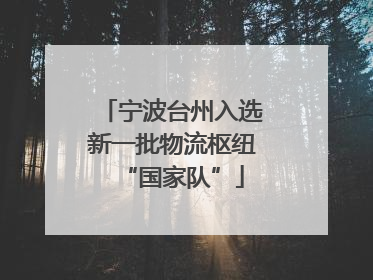 宁波台州入选新一批物流枢纽“国家队”
