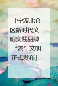 宁波北仑区新时代文明实践品牌“港”文明正式发布