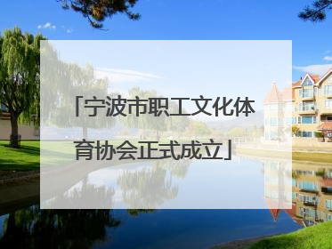 宁波市职工文化体育协会正式成立