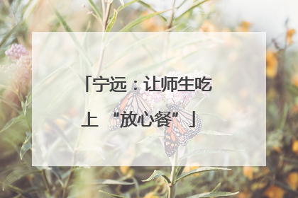 宁远：让师生吃上 “放心餐”