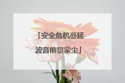 安全危机蔓延 波音前景蒙尘
