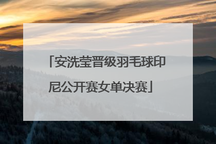 安洗莹晋级羽毛球印尼公开赛女单决赛