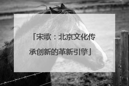 宋歌：北京文化传承创新的革新引擎