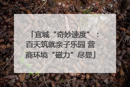 宜城“奇妙速度”：百天筑就亲子乐园 营商环境“磁力”尽显