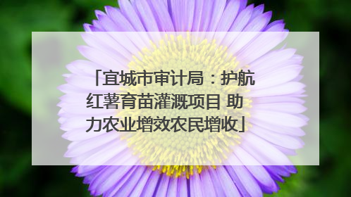 宜城市审计局：护航红薯育苗灌溉项目 助力农业增效农民增收