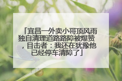 宜昌一外卖小哥顶风雨独自清理道路路障被爆赞，目击者：我还在犹豫他已经停车清障了