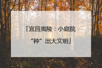 宜昌夷陵：小庭院“种”出大文明
