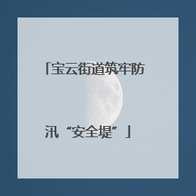 宝云街道筑牢防汛“安全堤”