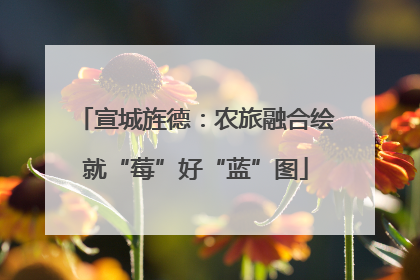 宣城旌德：农旅融合绘就“莓”好“蓝”图