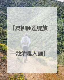 夏初睡莲绽放 一池清雅入画