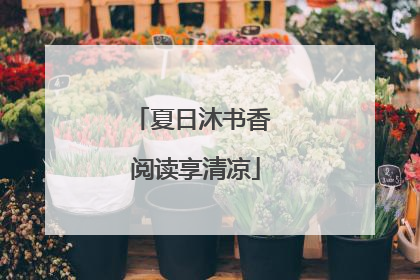 夏日沐书香 阅读享清凉