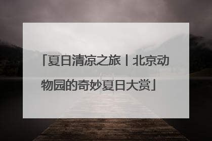 夏日清凉之旅丨北京动物园的奇妙夏日大赏