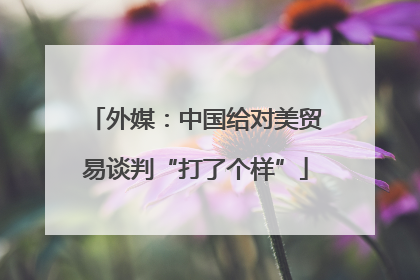 外媒：中国给对美贸易谈判“打了个样”