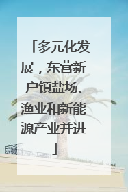 多元化发展，东营新户镇盐场、渔业和新能源产业并进