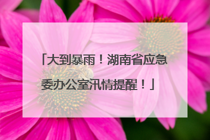 大到暴雨！湖南省应急委办公室汛情提醒！