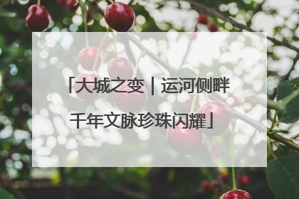 大城之变｜运河侧畔 千年文脉珍珠闪耀
