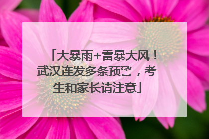 大暴雨+雷暴大风！武汉连发多条预警，考生和家长请注意