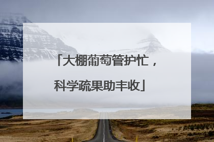 大棚葡萄管护忙，科学疏果助丰收