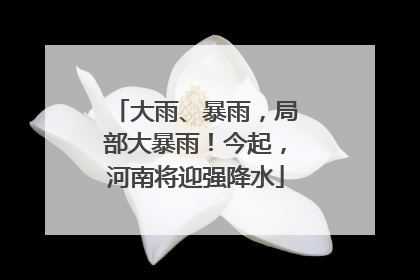大雨、暴雨，局部大暴雨！今起，河南将迎强降水