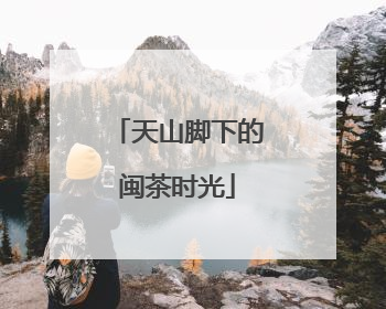 天山脚下的闽茶时光