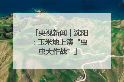 央视新闻｜沈阳：玉米地上演“虫虫大作战”