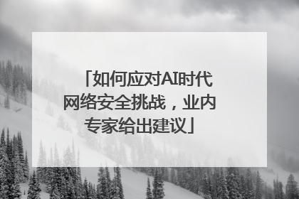 如何应对AI时代网络安全挑战，业内专家给出建议